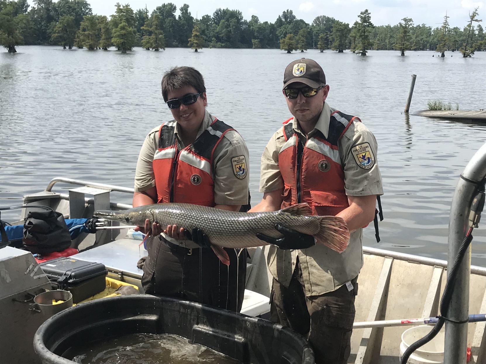 Black carp